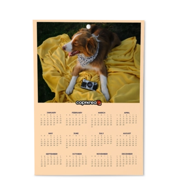 Calendare tip poster