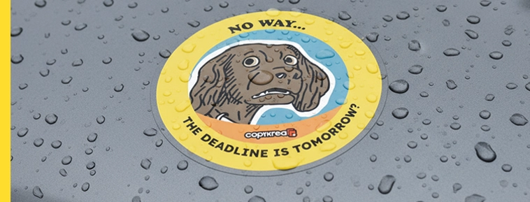 Autocolante din vinil laminate  