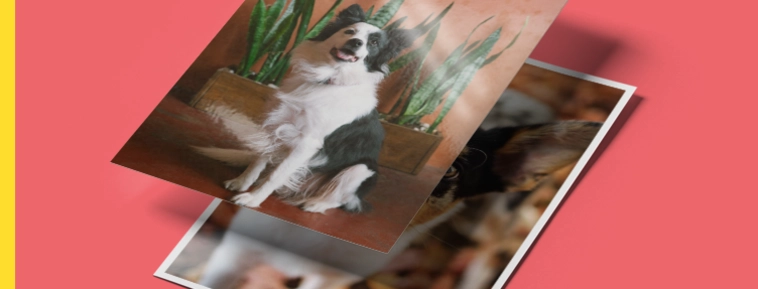 Revelare de fotografii clasică