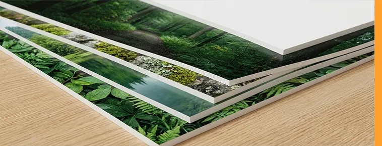 Fotografie pe placă PVC