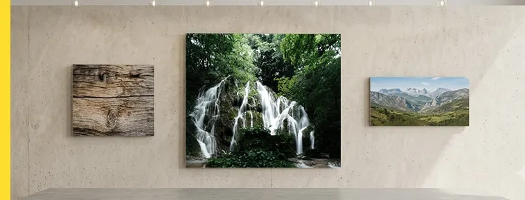 Fotografie pe placă PVC